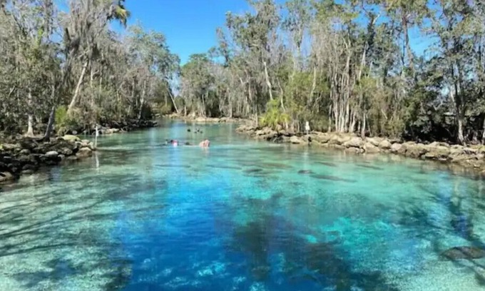Crystal River Cottage | Idyllic Crystal Cottage: Steps from Manatees & More!