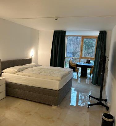 Zweisimmen Bed & Breakfast | Pet-Friendly Escape at Crystal Vista - 7/10 Guest Rated