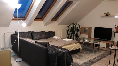 Bekescsaba Apartment | Discover Csodaszép: Pet & Child Friendly Getaway