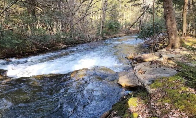 Clearfield Cabin | Experience Cub Cabin @ The Bear's Den - 10/10 Rated Retreat