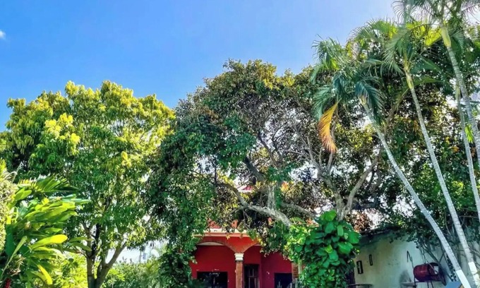 Campeche House | Cuevita + Nido /Piscina & Jardín compartido🥥🤍✨nn