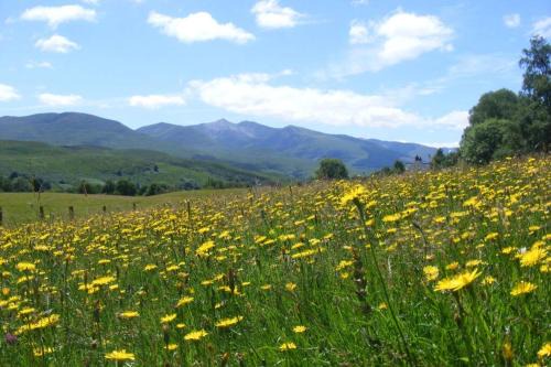 Roybridge House | Discover Cul Darach Lodge in Glen Roy Nature Reserve