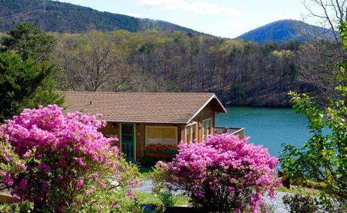 Huddleston House | Cozy Cabin Retreat: Pet-Friendly & Wheelchair Accessible
