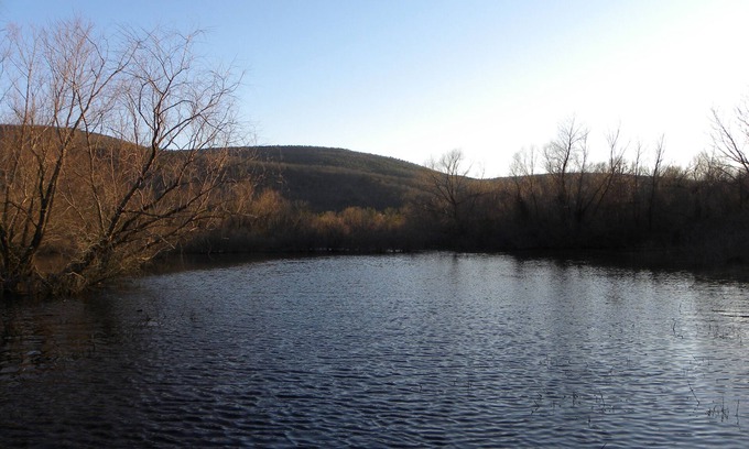 Nashoba Cabin | Cozy Mountain Cabin with River Access & Pet-Friendly Amenities
