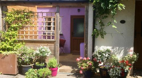 Glastonbury Apartment | Charming Glastonbury Guest Room with Private Deck & Breakfast