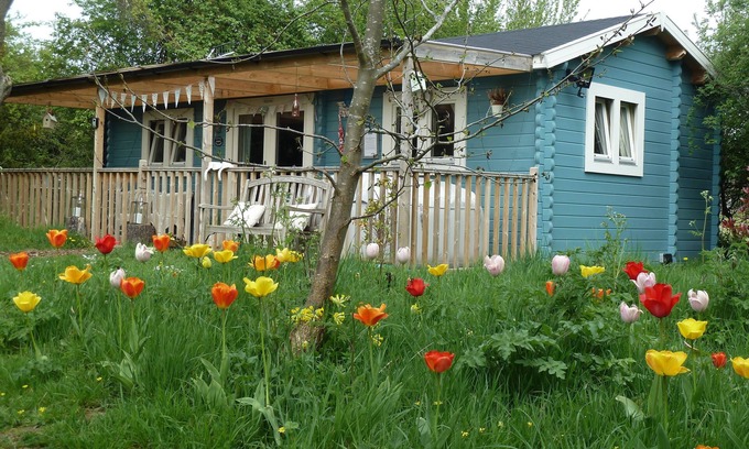 Great Witley Cabin | Romantic Retreat at Cuttermoon Lodge with Ocean Views & Spa