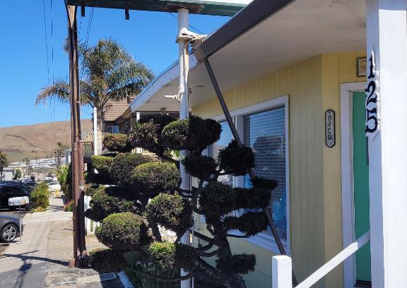 Cayucos Hotel | Pet-Friendly Retreat at Cypress Tree Motel - Rated 7.9/10
