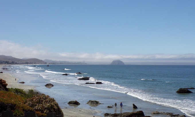 Cayucos Hotel | Discover Cypress Tree Motel: Oceanfront Pool Haven