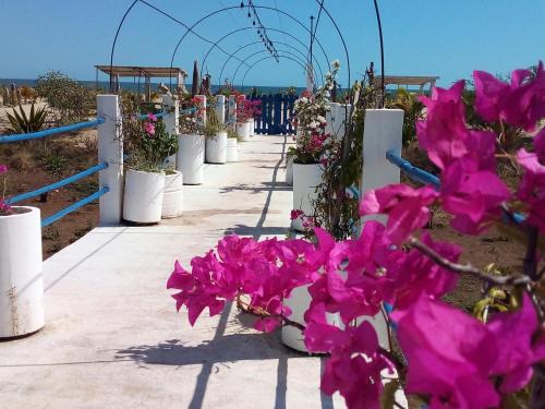 Mahajanga Apartment | Experience Relaxation at Cytyz Appart Hôtel with Ocean Views