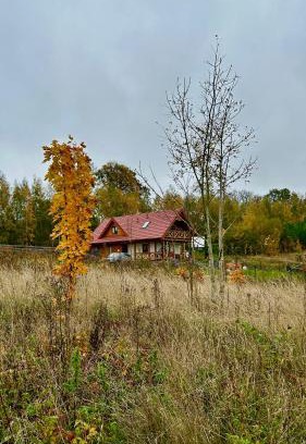 Gizycko House | Experience Czapla i Żuraw: Pet-Friendly Oceanfront Retreat