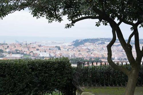Ancona Bed & Breakfast | Experience Oceanfront Bliss at D'AGO48 - 9.6/10 Rated