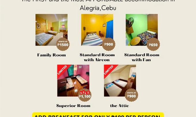 Alegria Hotel | D Alegre Travellers Inn: Oceanfront Getaway with Breakfast
