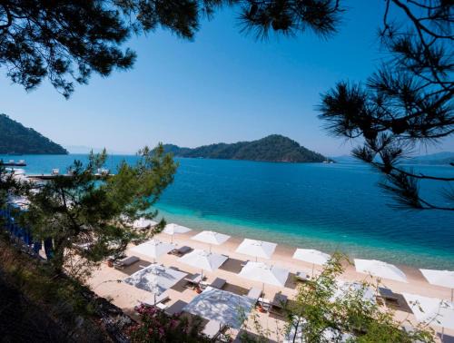 Gocek Hotel | Unwind at D Resort Gocek with Private Beach and Spa