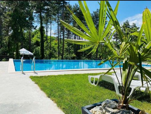 Mineralni Bani Hotel | Relaxing Oceanfront Retreat at D Villa with Spa & Pool