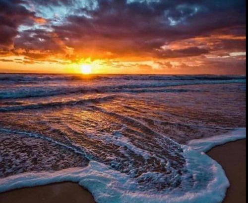 Las Gaviotas Apartment | Oceanview Balboa Apartment in the Golden Zone Awaits You