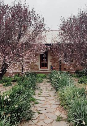 Upper Wakefield House | Pet-Friendly Escape at D2 Watervale - Rated 9.7/10