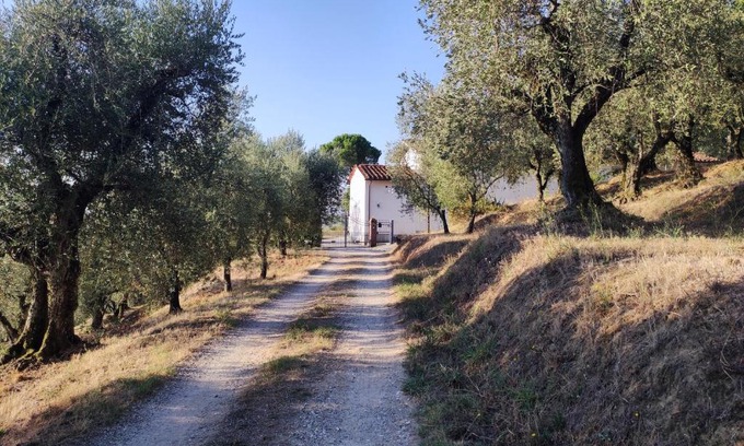 Buggiano House | Highly Rated Da Poldino with Family-Friendly Dining