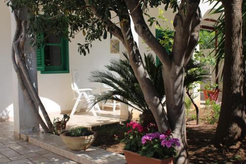 San Vito Lo Capo Apartment | Family-Friendly Escape at Da Silvia, Steps from the Sea