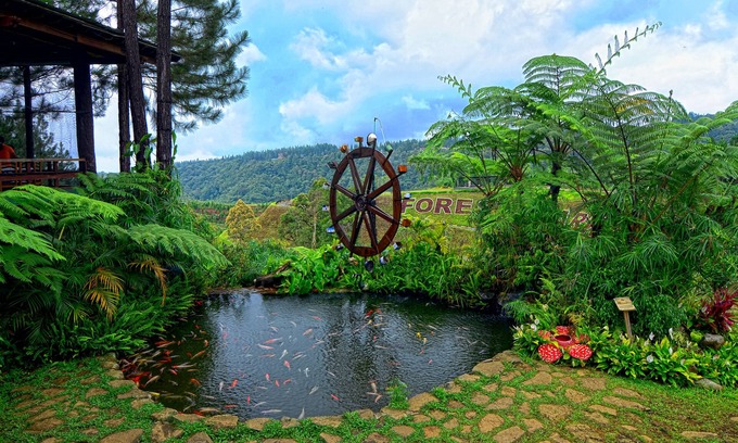 Burgos Resort | Explore Nature at Dahilayan Forest Park Resort