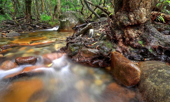 Diwan Cottage | Exceptional Daintree Cascades Cottage - Ideal for Families
