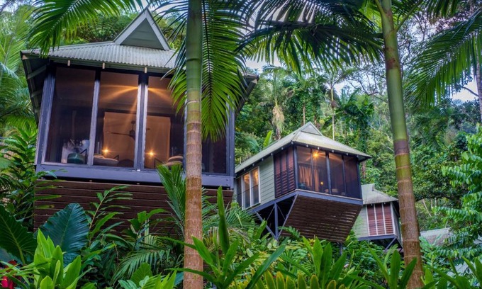 Lower Daintree Resort | Experience Daintree Ecolodge: Top-Rated Eco Retreat