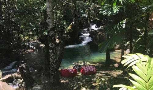 Diwan House | Discover Daintree Secrets Rainforest Sanctuary: 4-Star Retreat