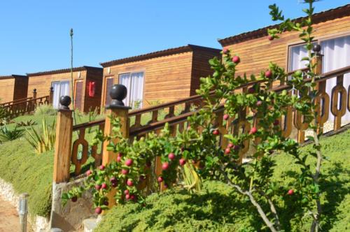 Dakhla Resort | Pet-Friendly Dakhla Kitesurf World with Oceanfront Views