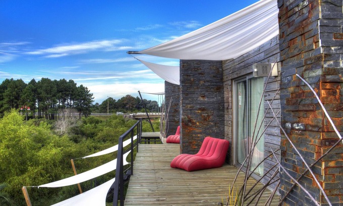 Chihuahua Hotel | Discover Dalarna Små Hotell: Spa, Dining & Family-Friendly