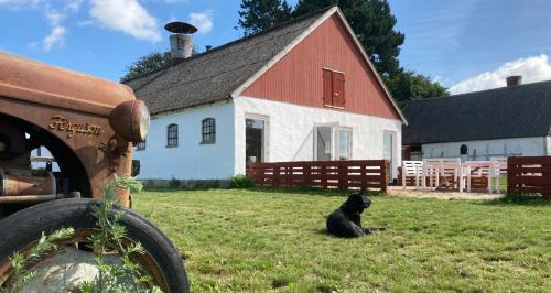 Harlev House | Eco-Friendly Dambækgaard Farm with Breakfast & Child Care