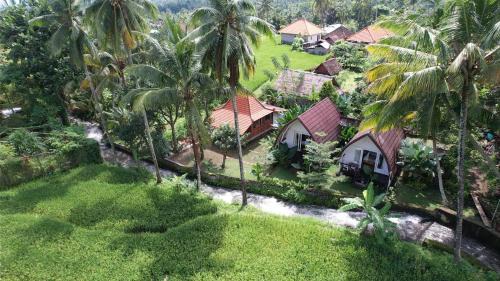 Sukasada House | Experience Damuh Pertivi: Oceanfront Bliss & Spa Retreat