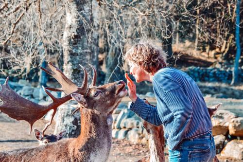 Hassleholm Municipality House | Experience Damwildfarm: 4-Star Paradise in Südschweden