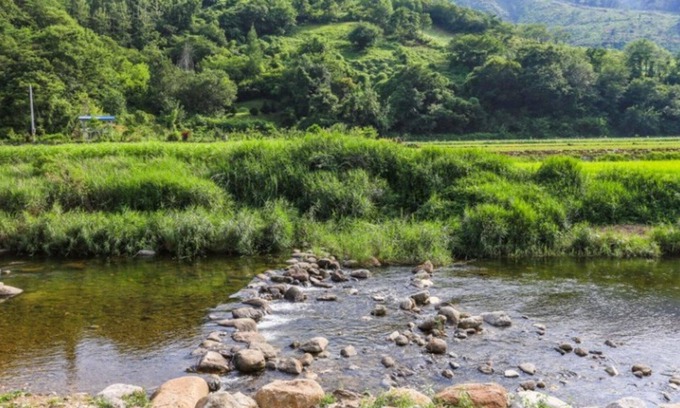 Danyang House | Eco-Friendly Danyang Hail Handmi Hanok Pension Awaits You