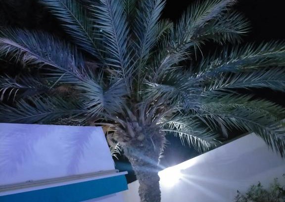 Houmet Souk House | Relax at Dar Céline: Pet-Friendly with Pool & Breakfast