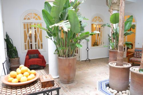 Kasbah House | Discover Dar Loulema: Pet-Friendly Stay with Breakfast