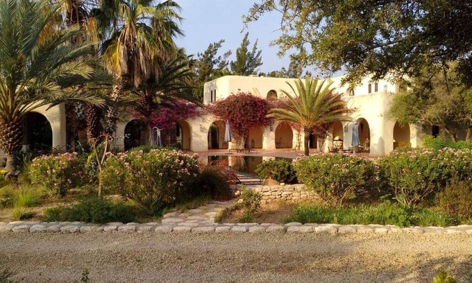 Essaouira Villa | Experience Dar Mamoune: Poolside Retreat in Argan Forest