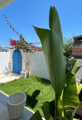 Kerkouane House | Dar Omi Aïcha 2