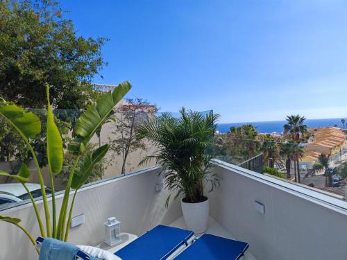 Costa Adeje Apartment | Discover Casa Daisy: Pet-Friendly Retreat with Pool Access