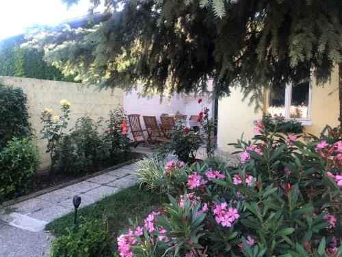 Breitenbrunn House | Cozy Das kleine Haus with Kitchen - Guest Rated 9/10