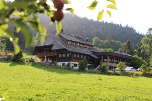 Todtmoos Hotel | Pet-Friendly Retreat at Das Schwarzwaldhotel with Dining