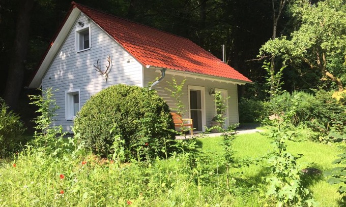 Bad Lauterberg House | Discover das Waldhaus: Pet-Friendly Retreat with Spa & Pool