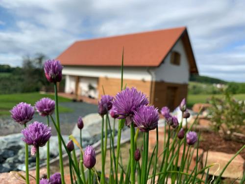 Inzenhof House | Guest Rated: Das Weinstöckl with Family-Friendly Amenities