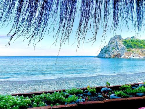 Hayitbuku Bed & Breakfast | Beachfront Bliss at Datca Masal Gibi Plaj & Restaurant