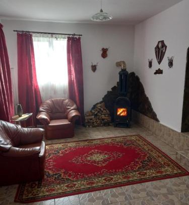 Bicaz Apartment | Pet-Friendly Retreat at David House - Rated 10/10 by Guests