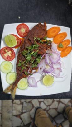 Mahabalipuram Beach Hotel | Discover Davy Jones Beach Cafe: A Pet-Friendly Retreat