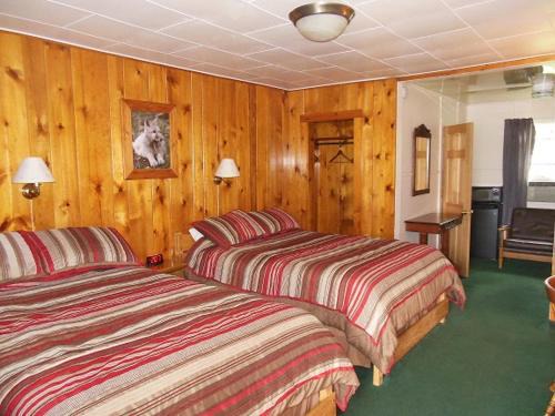 East Glacier Park Village Hotel | Cozy DB Boutique and Cabins with Pet-Friendly Amenities