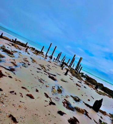 Port Willunga House | Decades: 4-Star Hotel with Pet and Child-Friendly Amenities