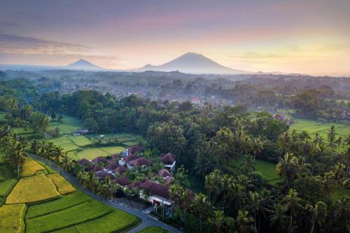 Kenderan Resort | Relax at Dedary Resort Ubud with Spa and Ocean Views