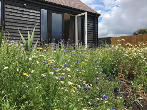 Huntingdon House | Top-Rated Deer Lodge - Pet and Child-Friendly Retreat
