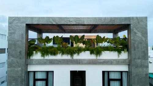 Punta Hansa Hotel | Delamar Hotel