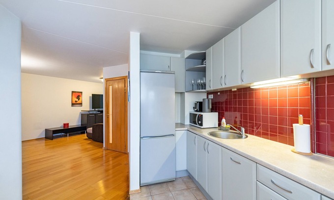 Kaunas Apartment | Cozy Apartment Near Freedom Avenue with Great Amenities